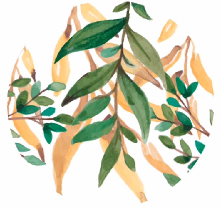 杯垫 啤酒垫 绿叶植物风格 - TenStickers
