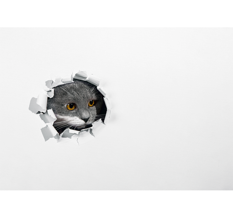 盲人白色可爱猫咪 - TenStickers