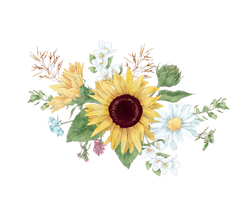 盲人白色向日葵和雏菊花 - TenStickers