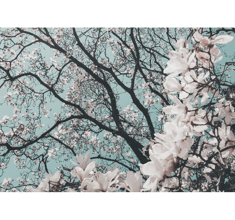 盲人客厅设计优雅风格日本樱花 - TenStickers