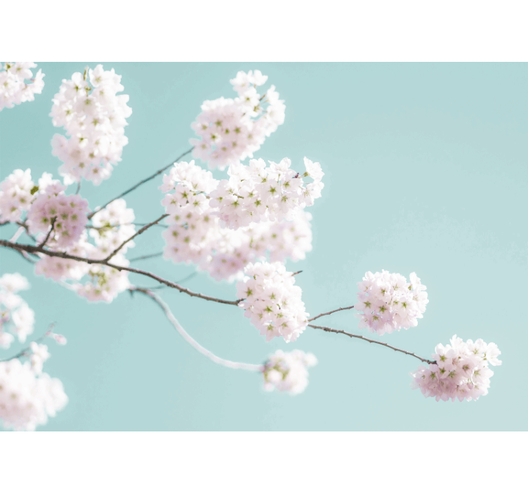 盲人客厅设计优雅女性白花设计 - TenStickers