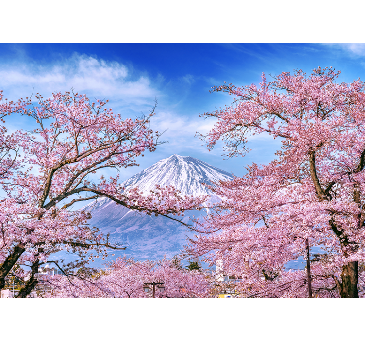 盲人客厅设计山樱花 - TenStickers