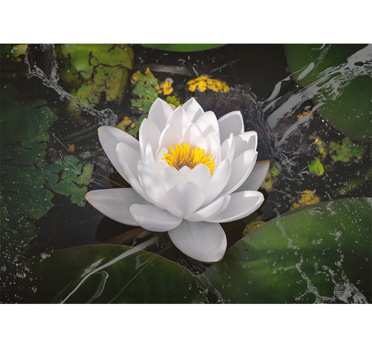 盲人客厅设计白色与黄色莲花 - TenStickers