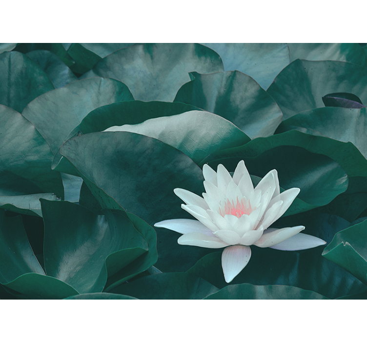 盲人客厅设计以禅意白色莲花为主题 - TenStickers