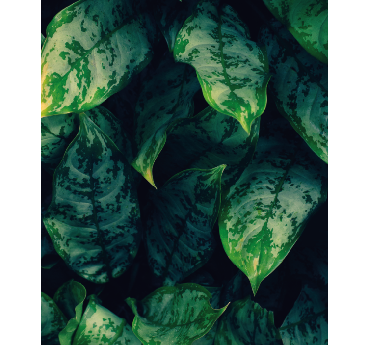 盲人花草生机盎然的绿色叶子 - TenStickers