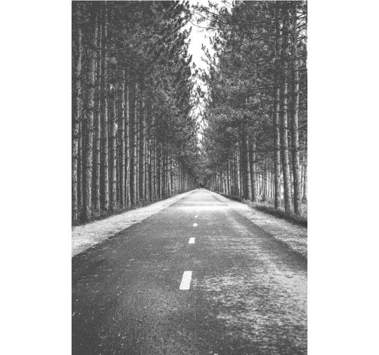 其他百叶窗静谧森林小径 - TenStickers