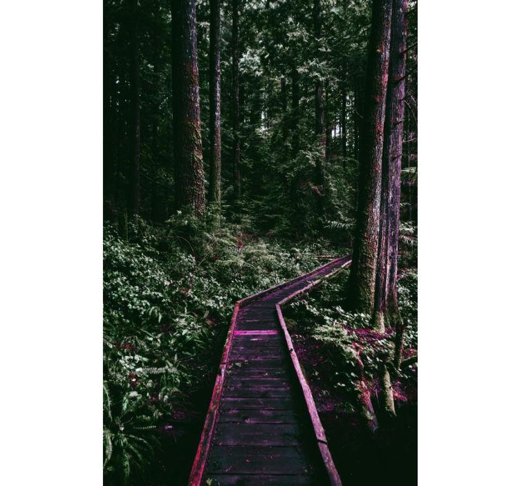 有树的百叶窗森林小径 - TenStickers