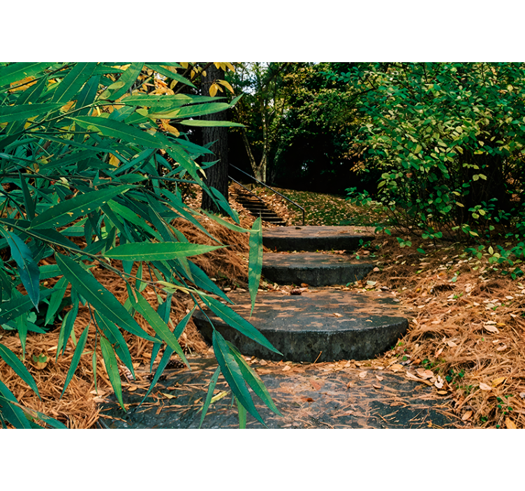 3d森林小路原版卷帘 - TenStickers