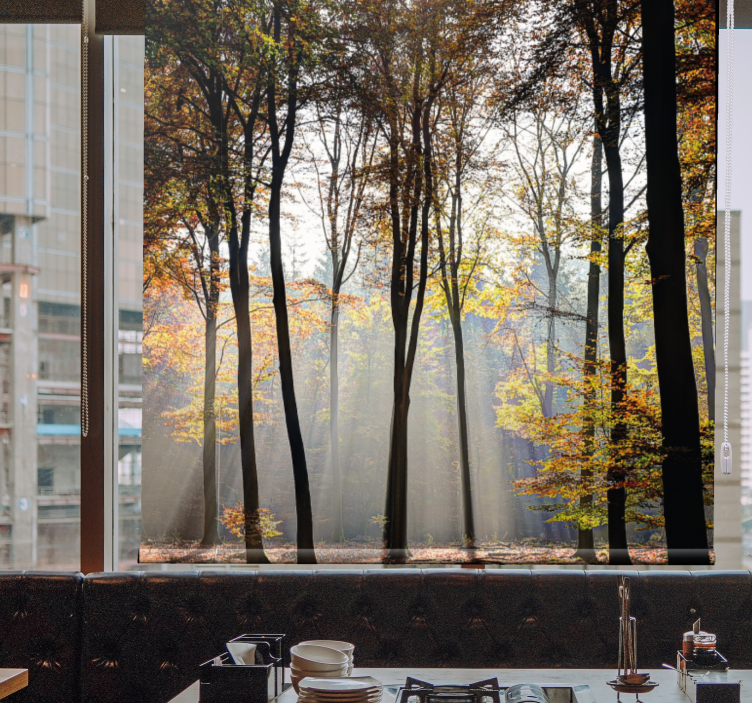 有树的百叶窗映照阳光的森林景象 - TenStickers