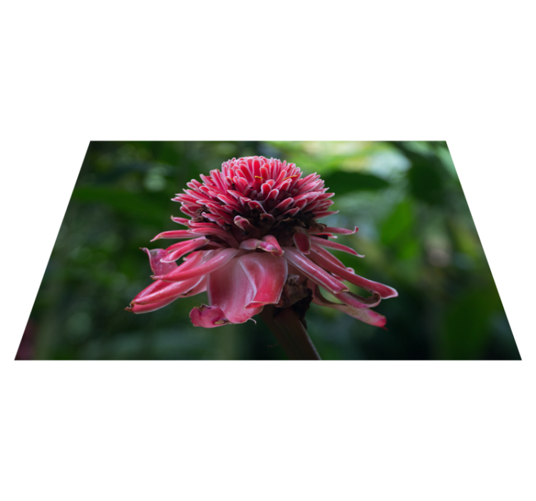 乙烯基餐垫原版热带花卉布置 - TenStickers