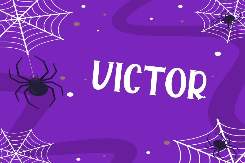 餐垫营造神秘蜘蛛网氛围 - TenStickers