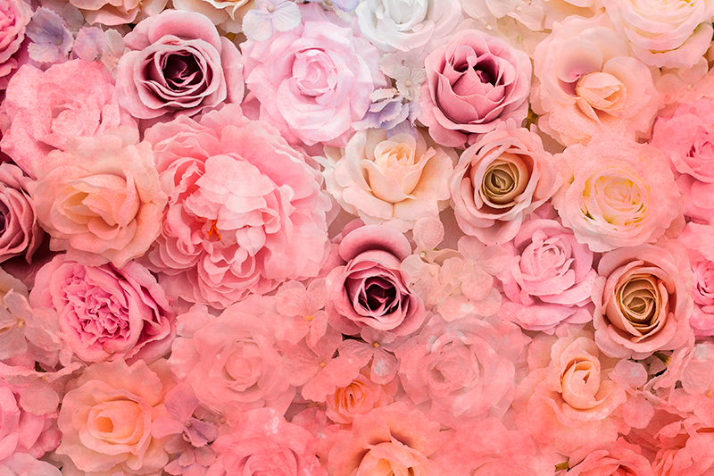 关闭了淡粉色玫瑰优雅的餐垫 - TenStickers