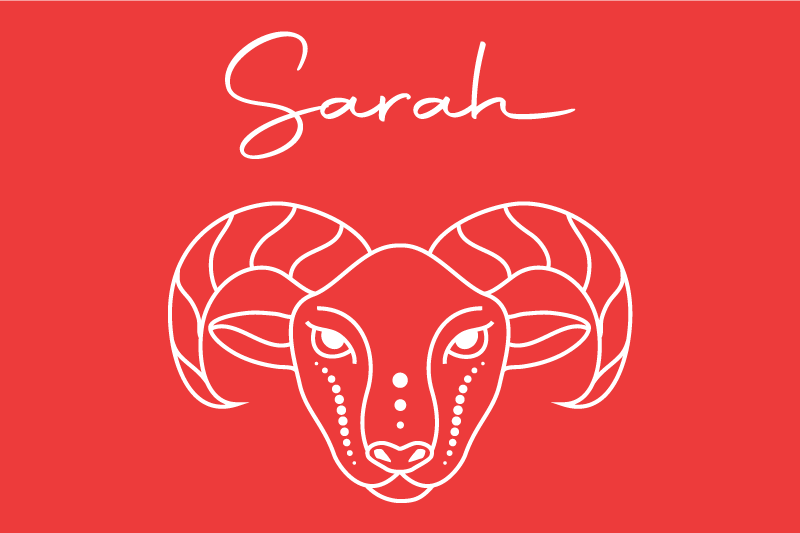 乙烯基餐垫品牌风格化公羊插图 - TenStickers