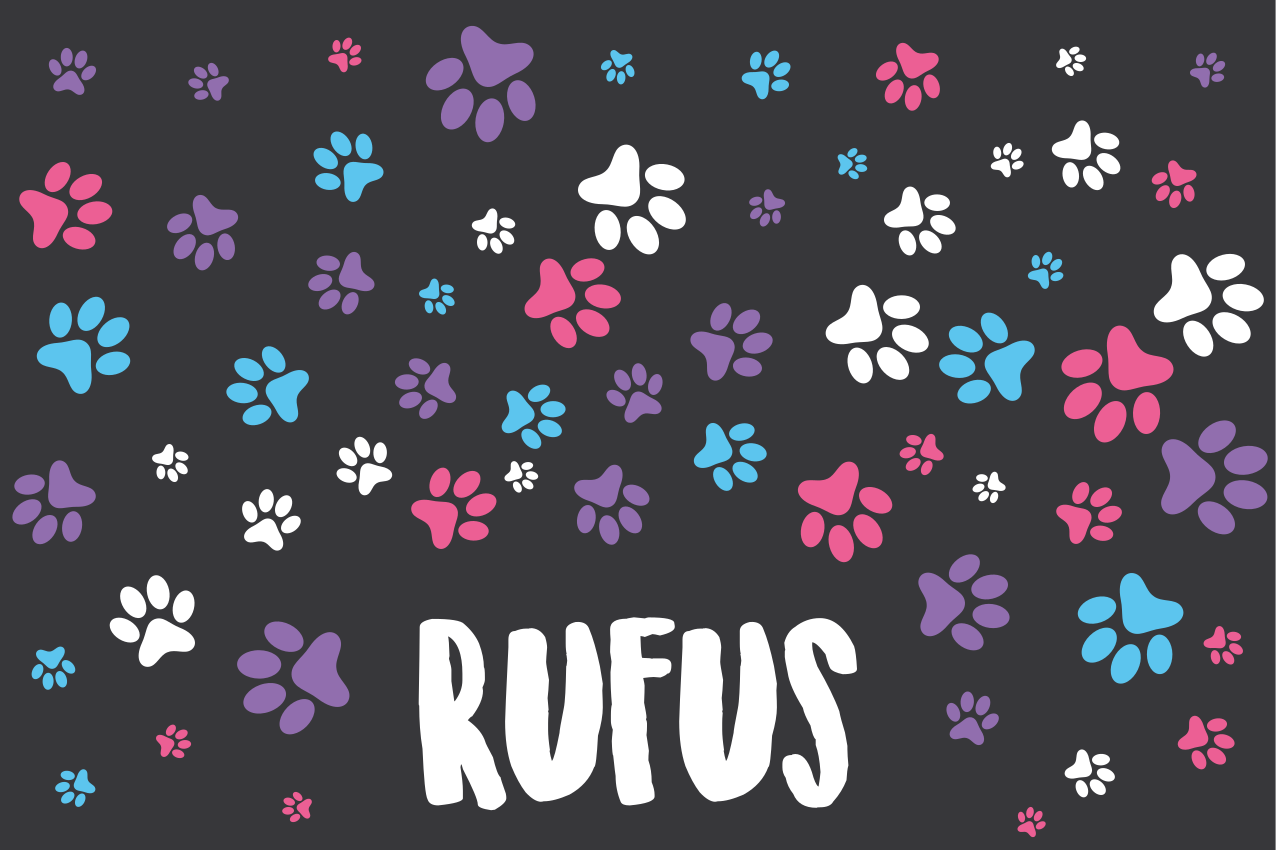 乙烯基儿童餐垫 五彩斑斓的爪印 - TenStickers