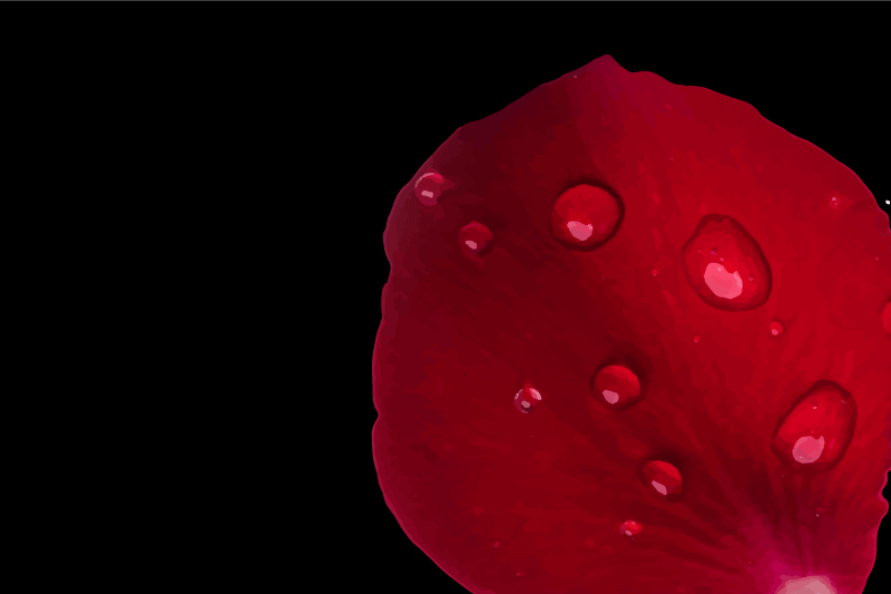 乙烯基餐垫贴图红色花瓣表面 - TenStickers