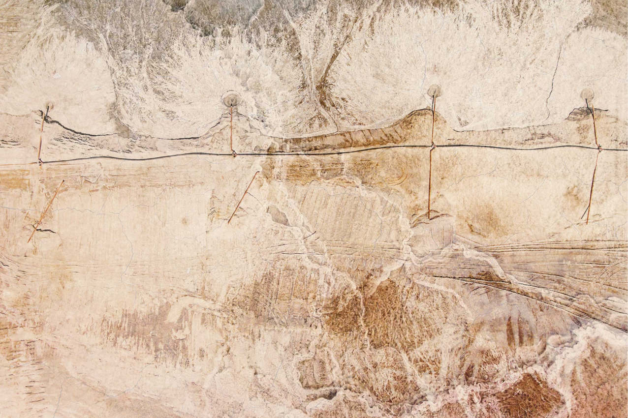 乙烯基餐垫贴图有机木材饰面 - TenStickers