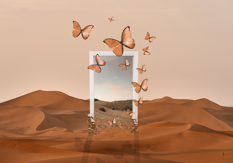 乙烯基餐垫原版 蝴蝶翩翩起舞框架 - TenStickers