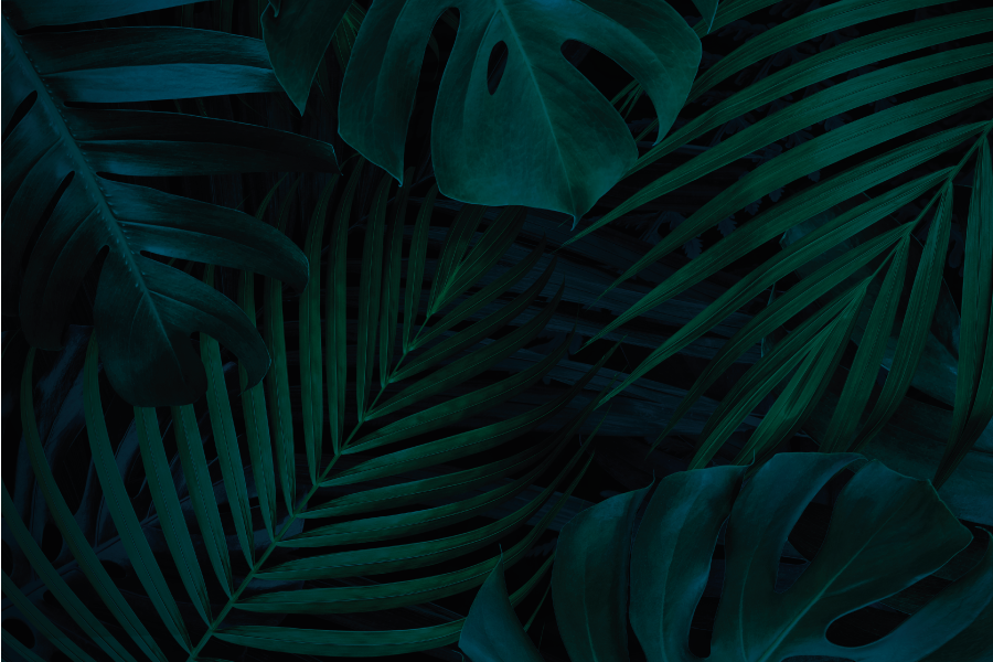 乙烯基餐垫贴图热带叶子魅力 - TenStickers