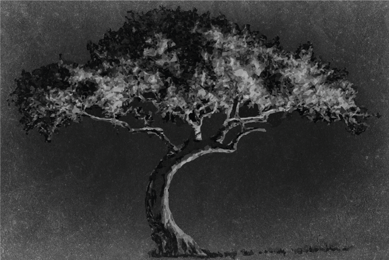 乙烯基餐垫贴图艺术树木轮廓 - TenStickers