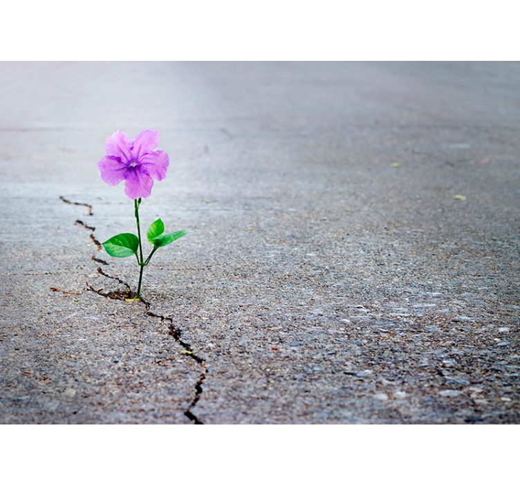 花墙壁画 纹理背景上盛开的花朵 - TenStickers