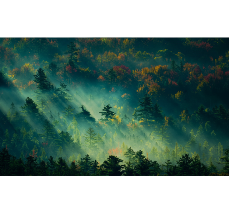 森林墙壁画：情绪森林 - TenStickers