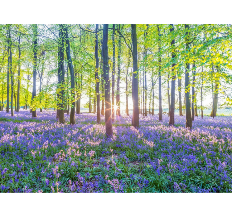 森林墙壁画融入自然启发的现代主义 - TenStickers