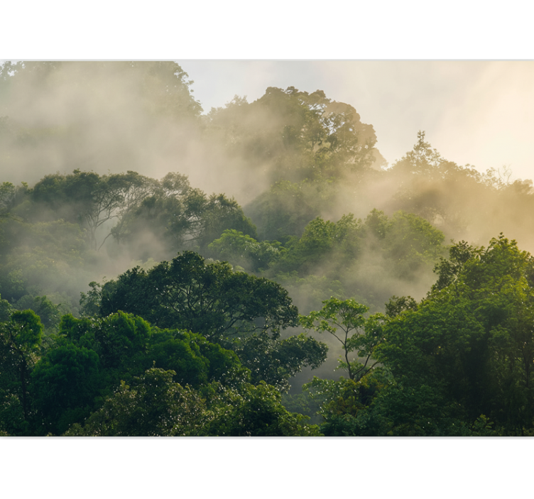 森林墙壁画，郁郁葱葱的丛林树冠 - TenStickers