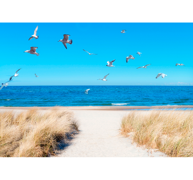 壁画海景 海边的宁静 - TenStickers