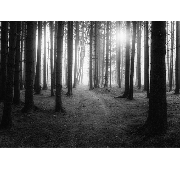 灰色的森林墙壁画为您 - TenStickers