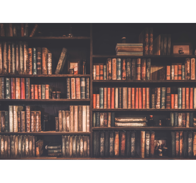 爱墙壁画经典书籍系列 - TenStickers