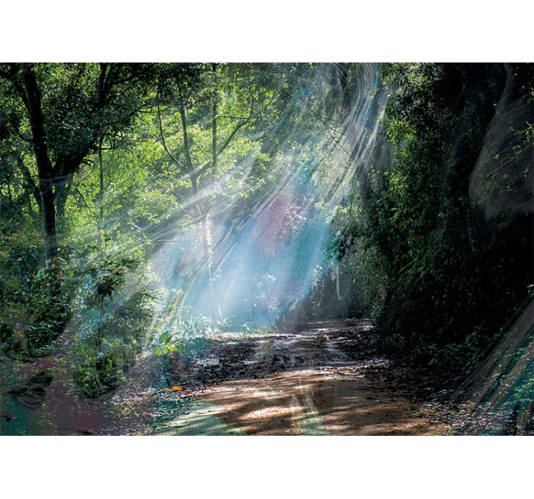 壁画质地带您走进光辉森林小径 - TenStickers