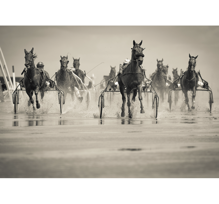 动物墙壁画 马匹一起赛跑 - TenStickers