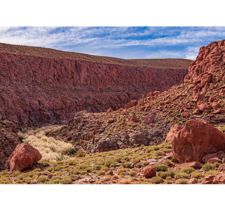 山墙壁画 红色沙漠景观 - TenStickers