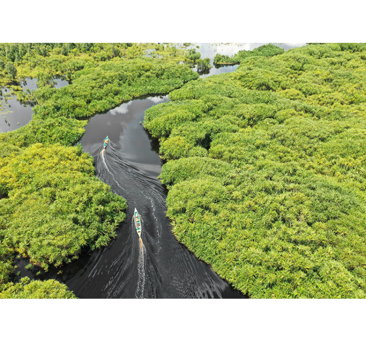 风景墙壁画 风景秀丽的河流之旅 - TenStickers