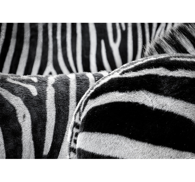 动物墙壁画展现真实斑马纹理 - TenStickers