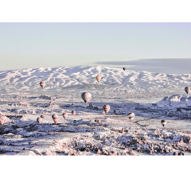 风景墙壁画 热气球景观 - TenStickers