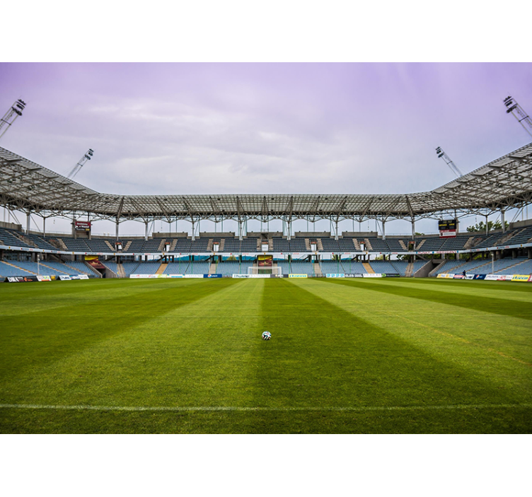 城市和乡村墙壁画足球场场景 - TenStickers