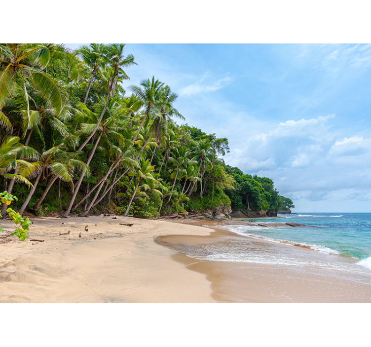 壁画质地热带海岸绿洲 - TenStickers