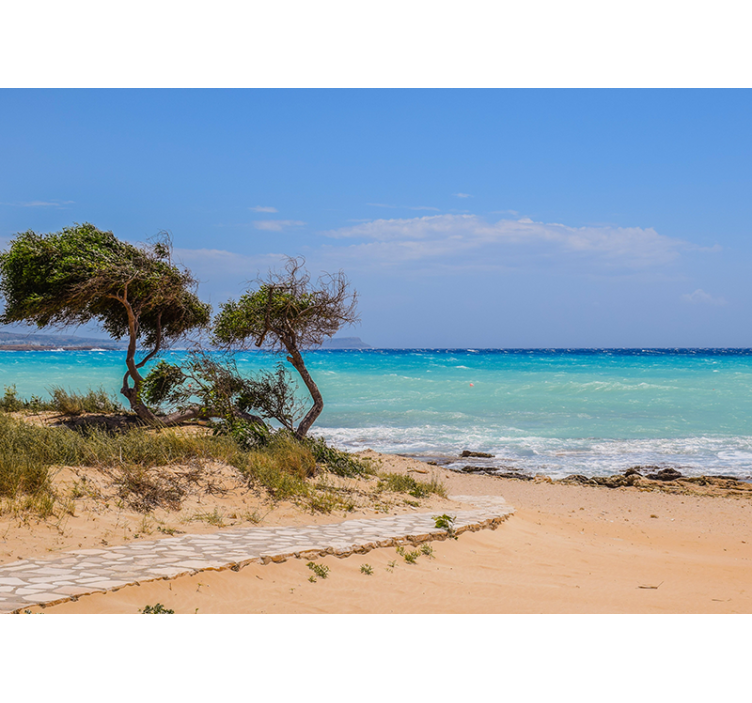 壁画海景宁静场景之路 - TenStickers