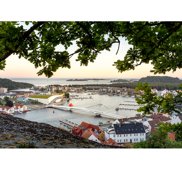 挪威对小镇自然壁画的看法 - TenStickers