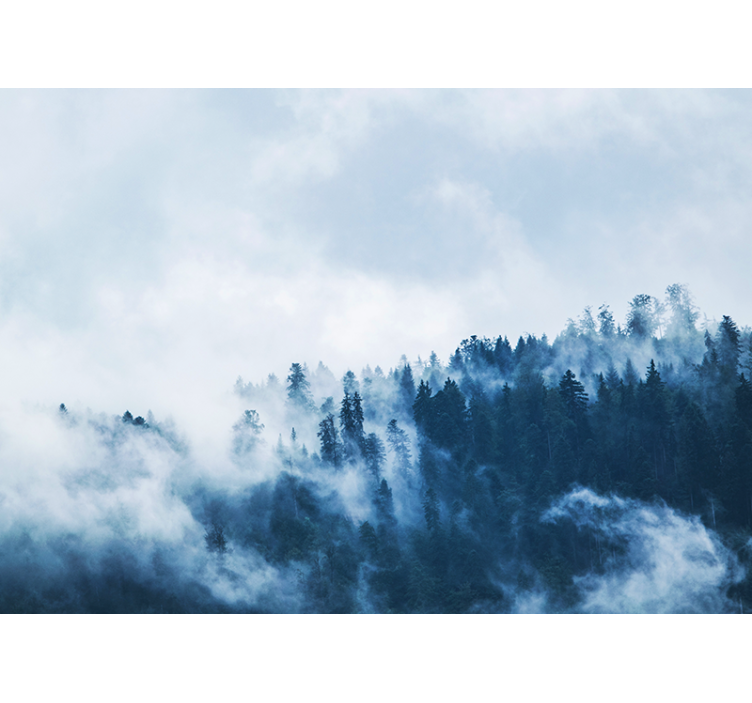 壁画质地呈现森林雾气景观 - TenStickers