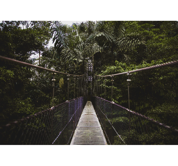 壁画质地悬索桥冒险 - TenStickers