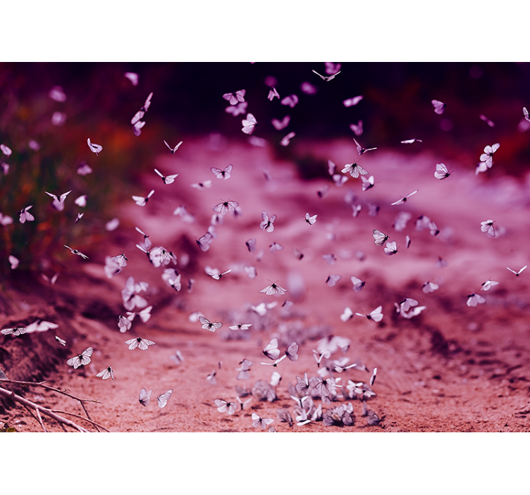 花墙壁画 轻柔的蝴蝶舞 - TenStickers