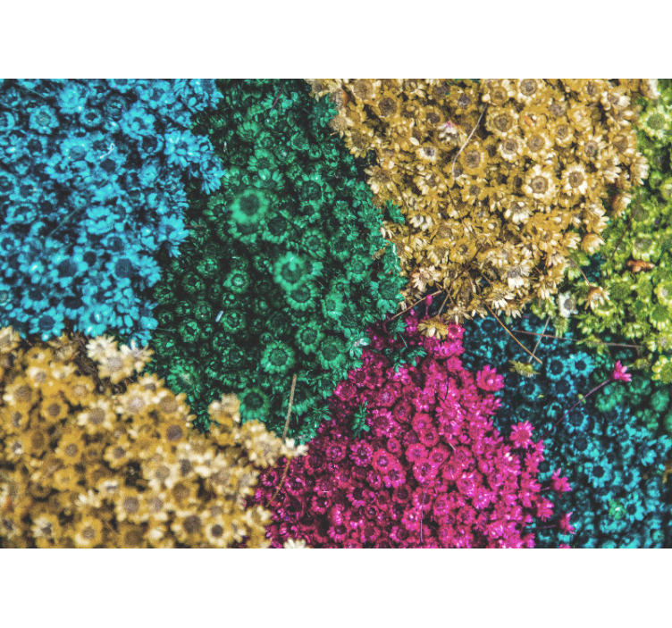 花墙壁画展现多彩花卉图案 - TenStickers