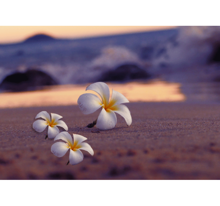 罂粟墙壁画热带花卉三重奏 - TenStickers