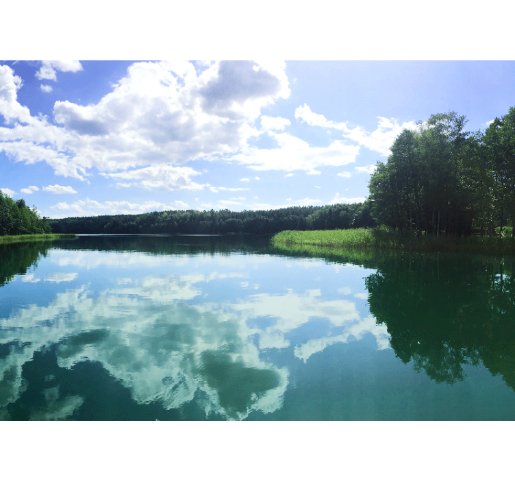 湖墙壁画宁静倒影 - TenStickers