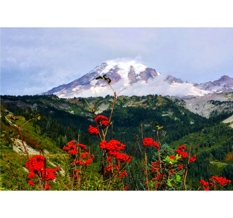 风景墙壁画雪山风光 - TenStickers