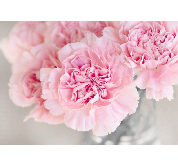 花墙壁画展现迷人的粉色花朵 - TenStickers