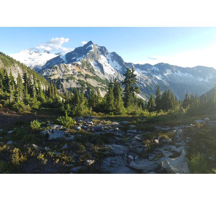 风景墙壁画山林景观 - TenStickers