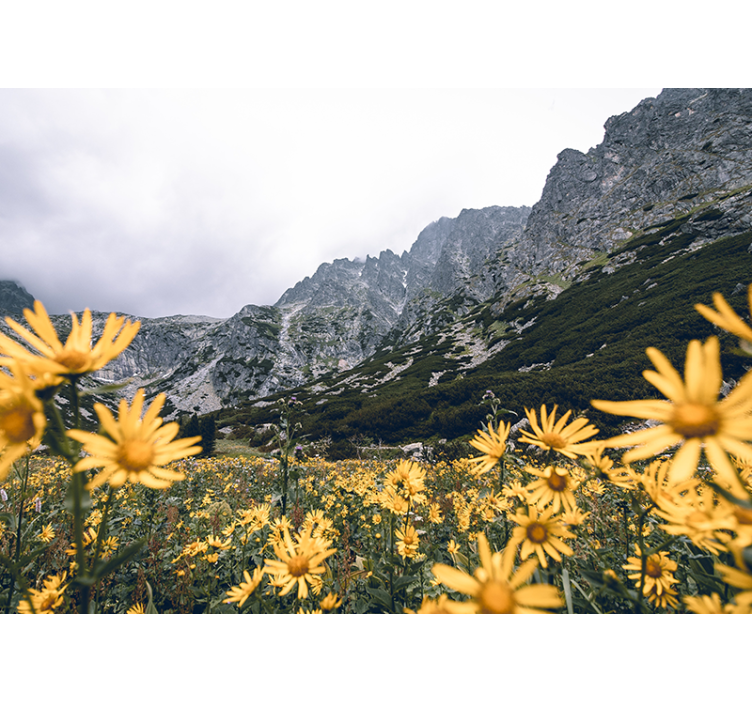花墙壁画展现黄花草甸之美 - TenStickers